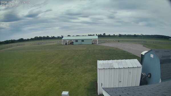 Parking Camera