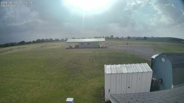 Parking Camera