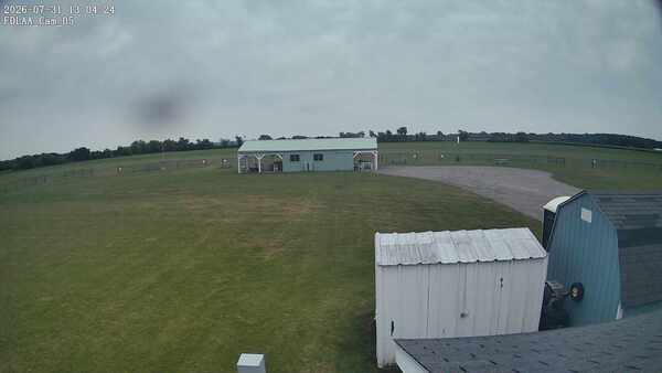 Parking Camera