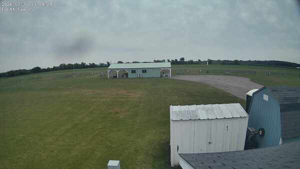 Parking Camera