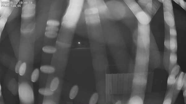 Parking Camera
