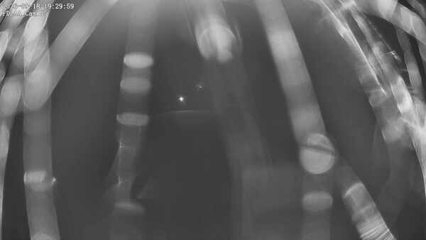 Parking Camera