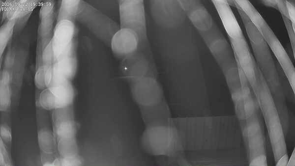Parking Camera