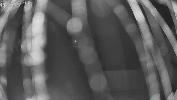 Parking Camera