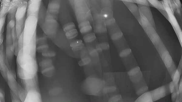 Parking Camera