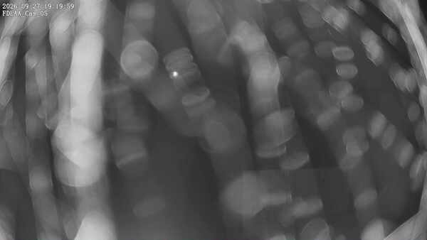 Parking Camera