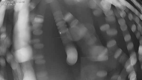 Parking Camera