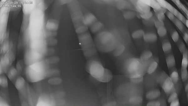 Parking Camera