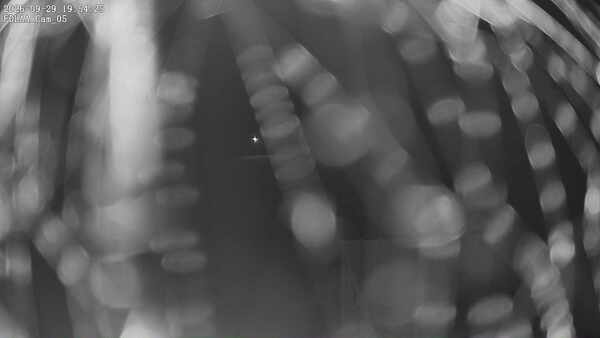 Parking Camera
