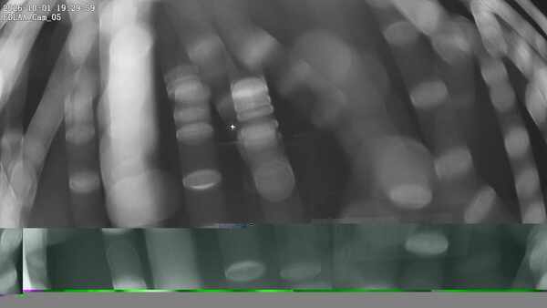 Parking Camera