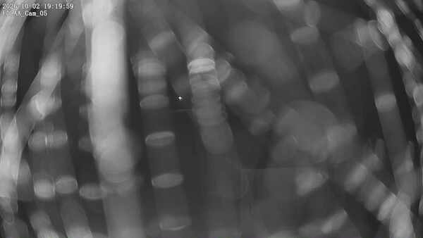 Parking Camera