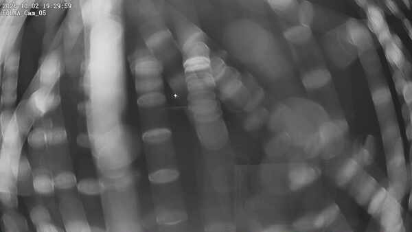 Parking Camera