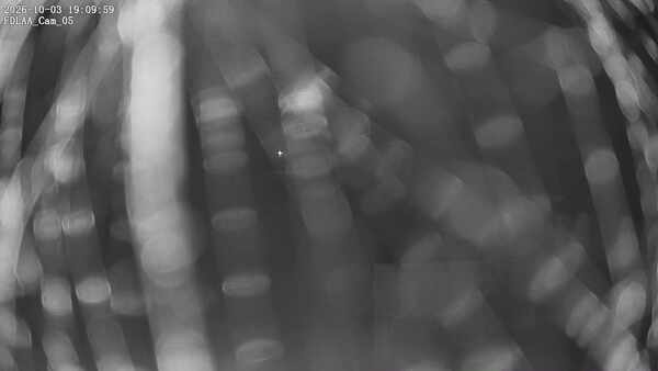 Parking Camera
