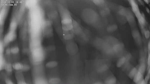 Parking Camera
