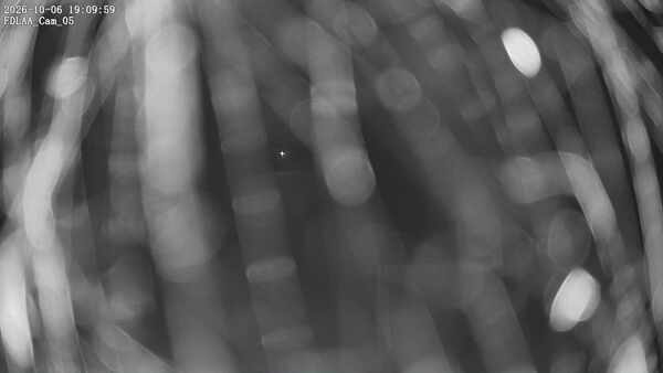 Parking Camera