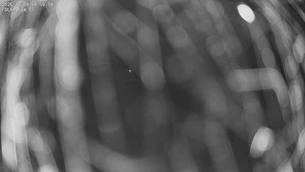 Parking Camera