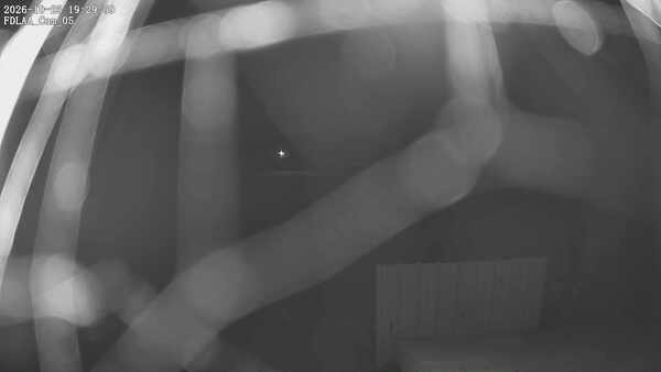 Parking Camera