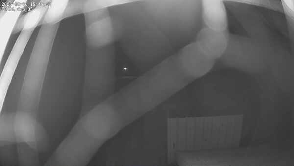 Parking Camera