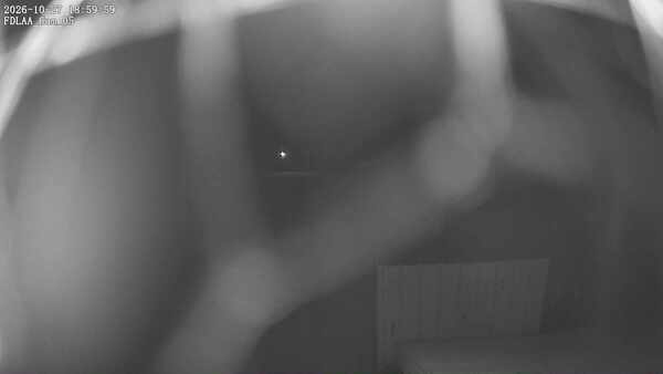 Parking Camera