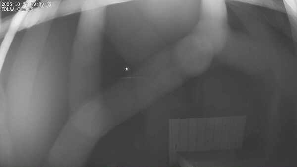 Parking Camera