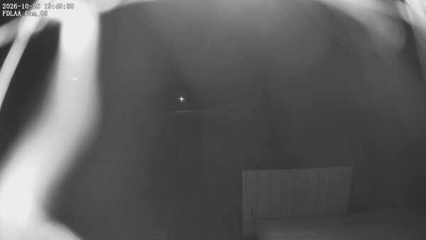 Parking Camera
