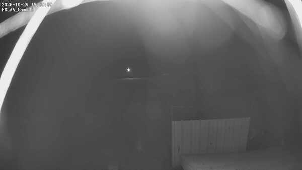 Parking Camera