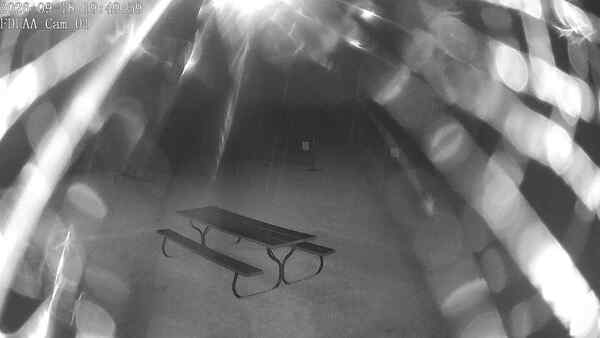 North-East Camera