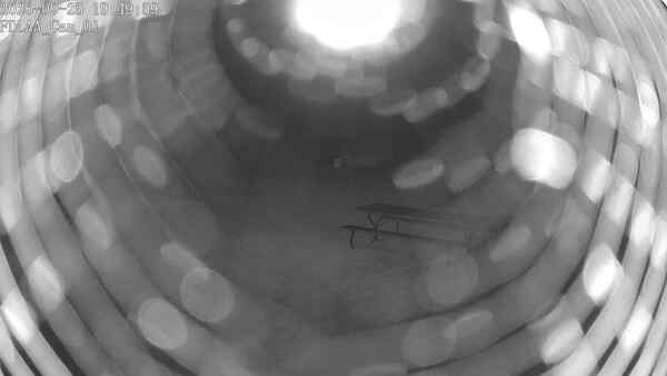 North-East Camera