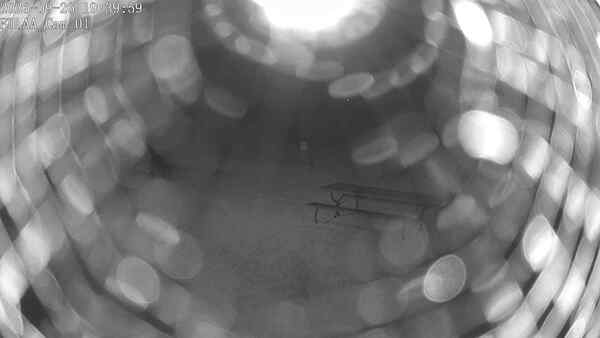 North-East Camera