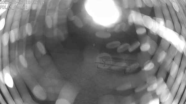 North-East Camera